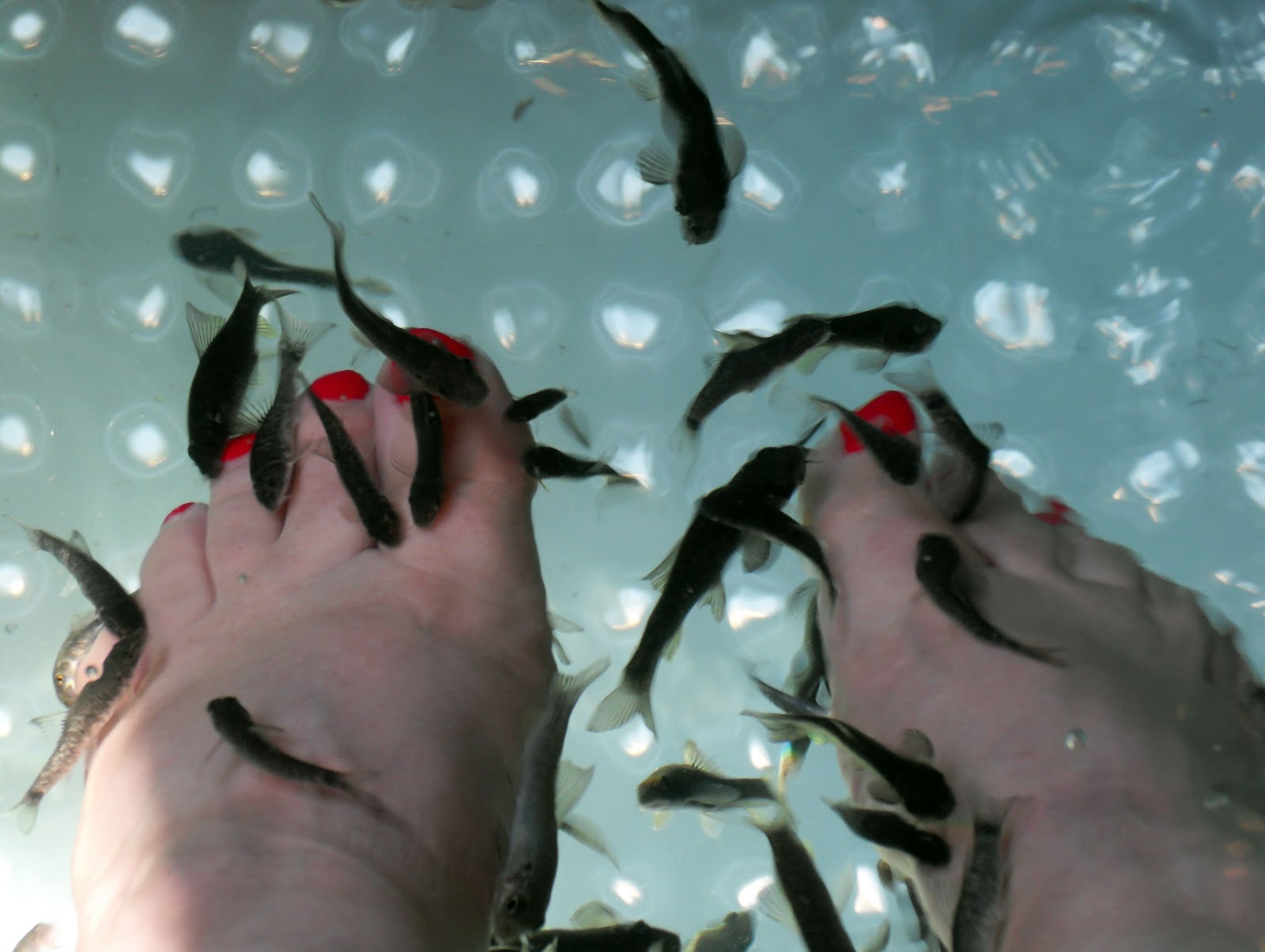 Feet And Fish