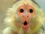 Her Capuchin Monkey Zoe (Zowee)