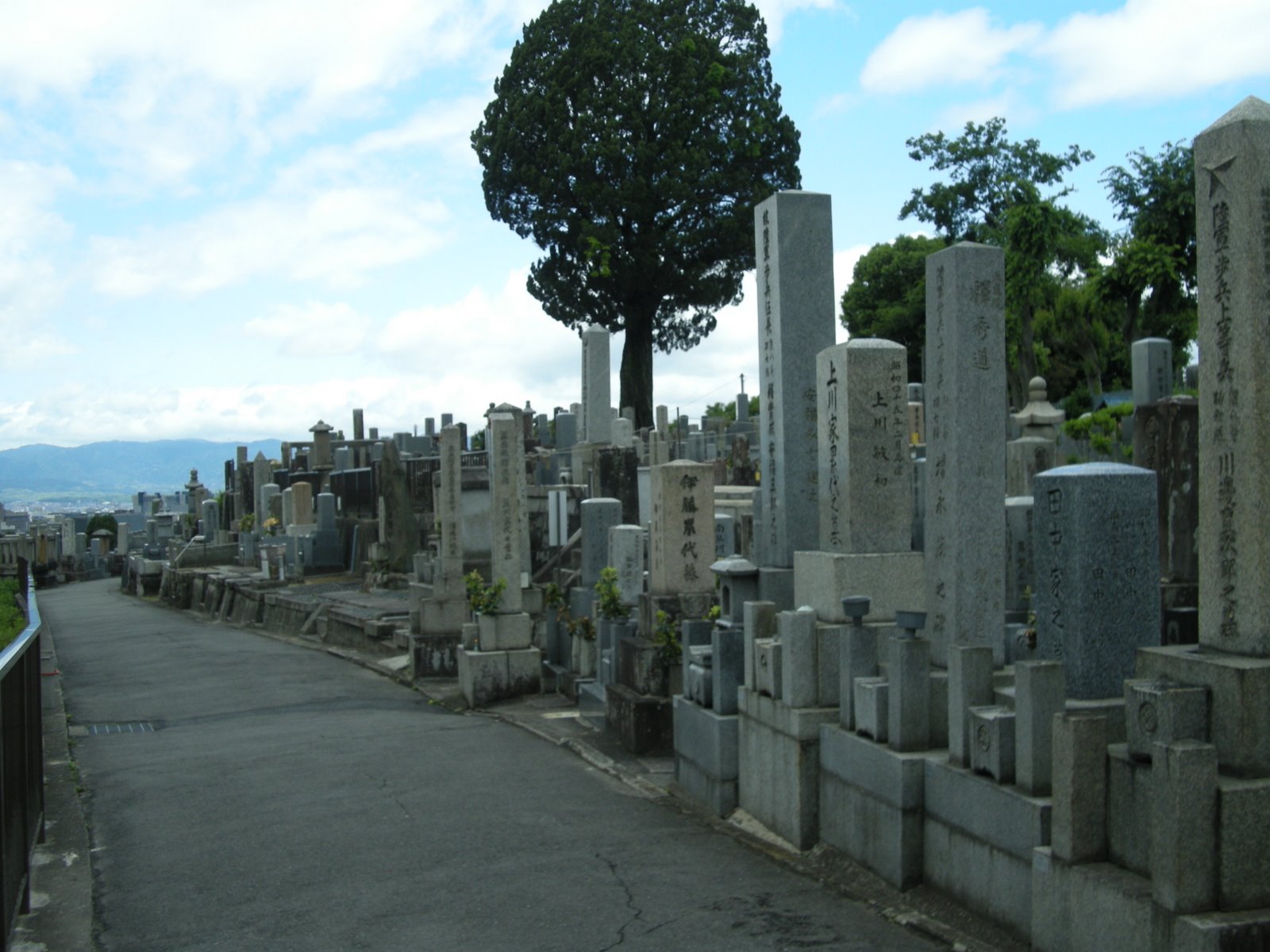 [graveyard2.JPG]