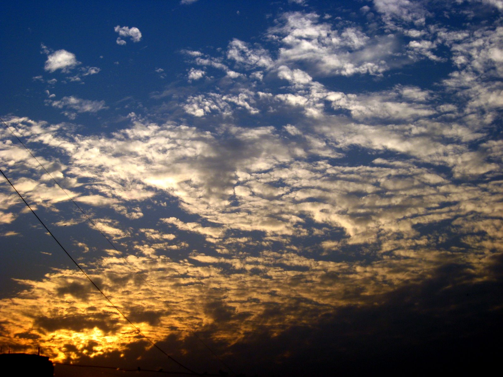 [IMG_3281.JPG]