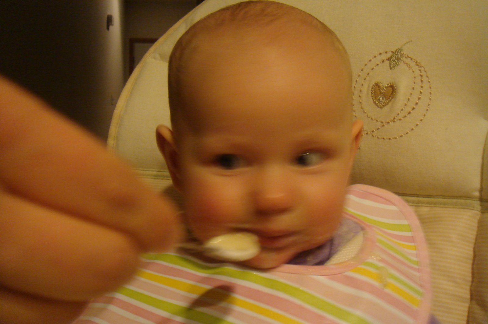 [DSC02787.JPG]