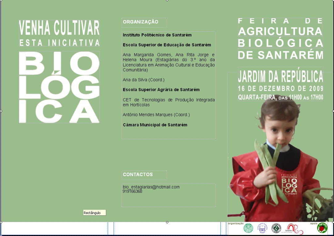 [Nova+imagem+(13).bmp]