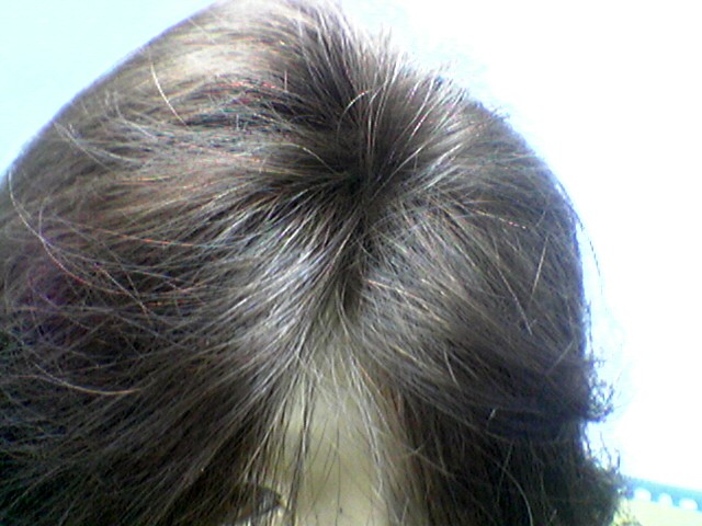 Hair Piece