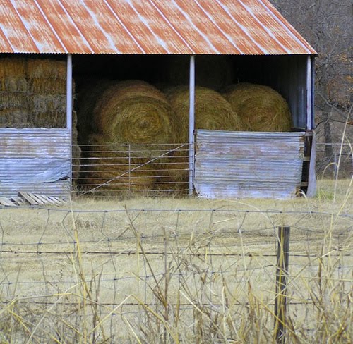 Build Your Shed Hay Barn Plans 4 Things You Should Consider