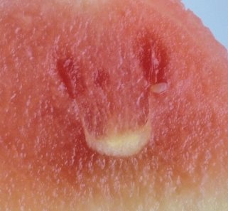 [smilende+vannmelon+nær.jpg]