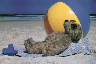 I risked the heat and worked on my tan on this lovely beach me in the nuddy sunbathing