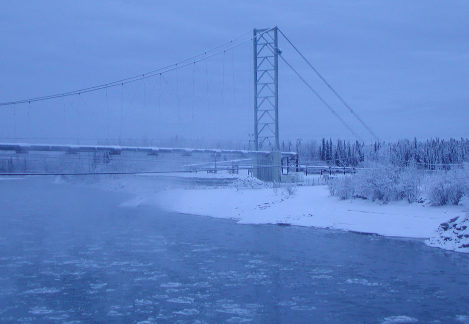 Bridge of the Week Alaska's Bridges Big Delta Bridges (4)
