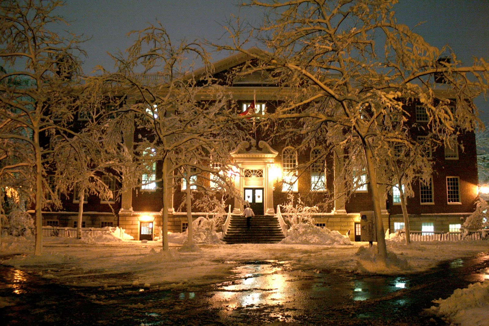 Harvard Snow