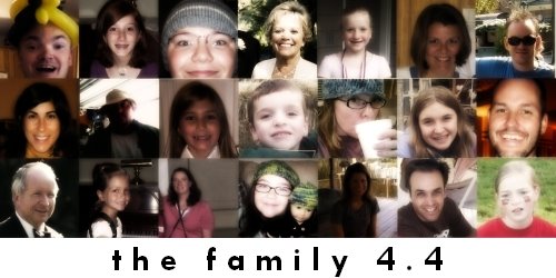 t h e   f a m i l y    4 . 4