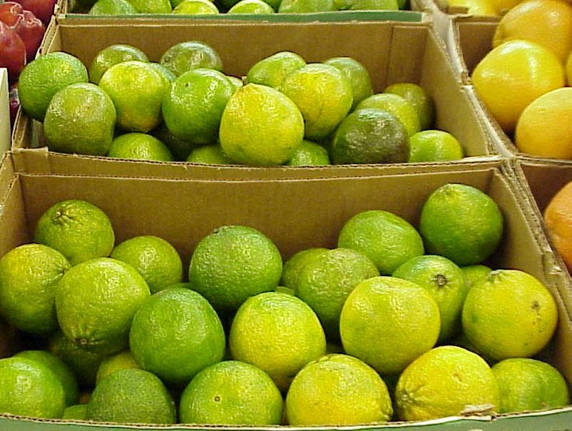 Why are oranges orange? La Gringa's Blogicito