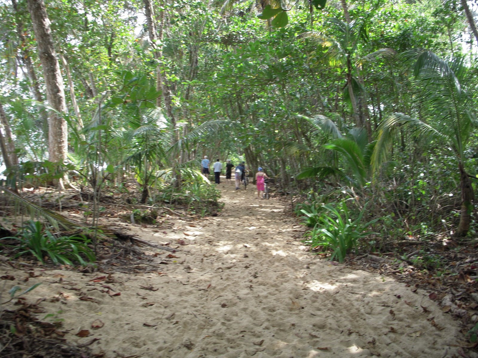 [DSCN0875.JPG]