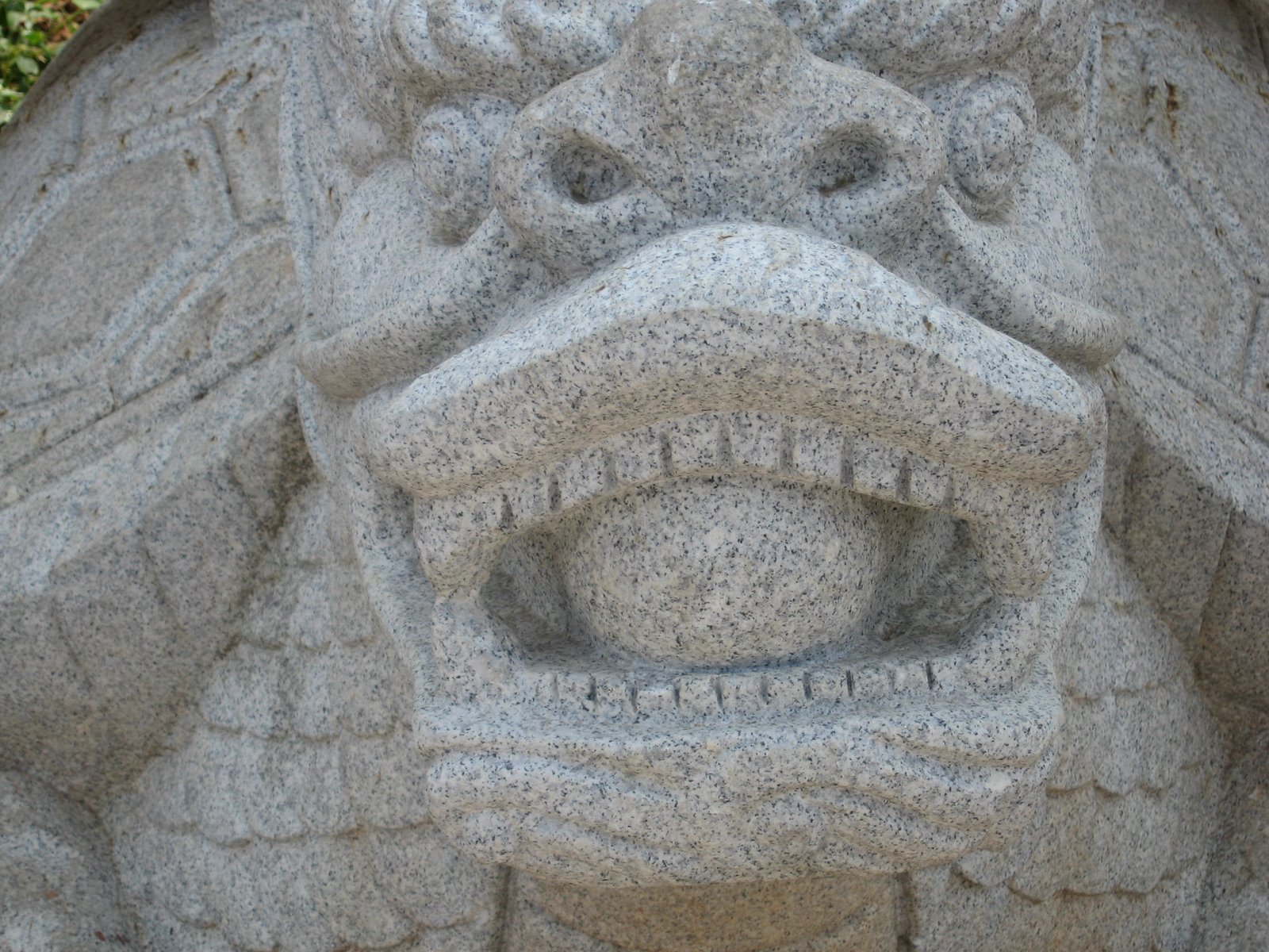 [IMG_2629.JPG]