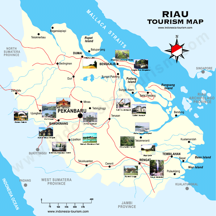 Petualangan Menjelajah Jalur Pekanbaru-Dumai: Mengungkap Pesona Riau di Balik Setir Alphard