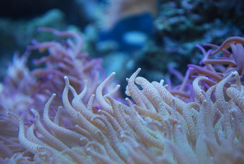 [DSC_0909.JPG]