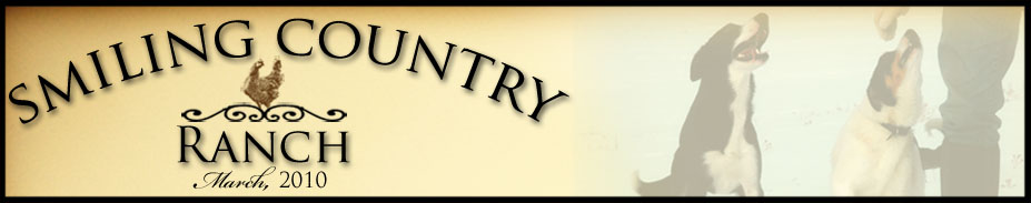 Smiling Country Ranch