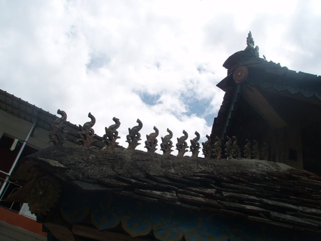 [P4180687.JPG]