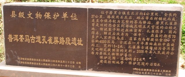 [P4140224.JPG]