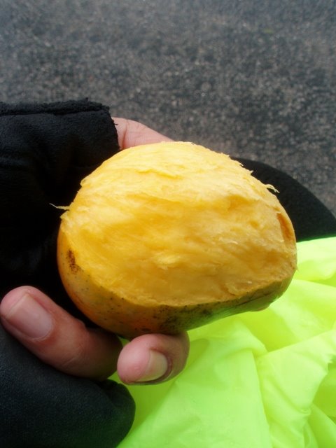 [P5012240.JPG]