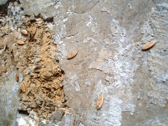 [P4211151.JPG]