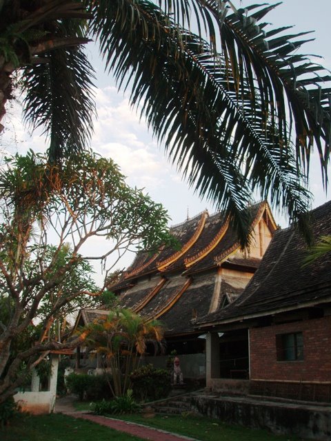 [P4241518.JPG]