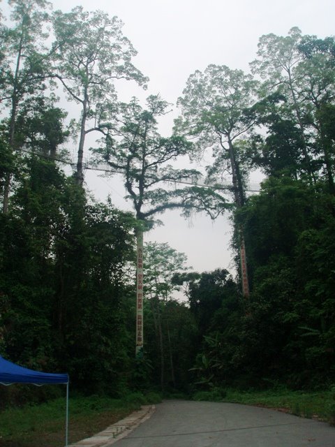 [P4261793.JPG]