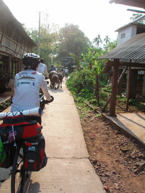 [P4271904.JPG]