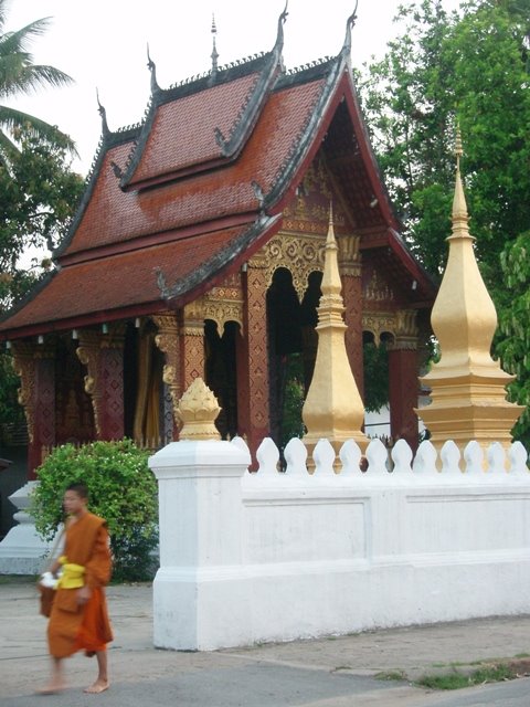 [P5042559.JPG]
