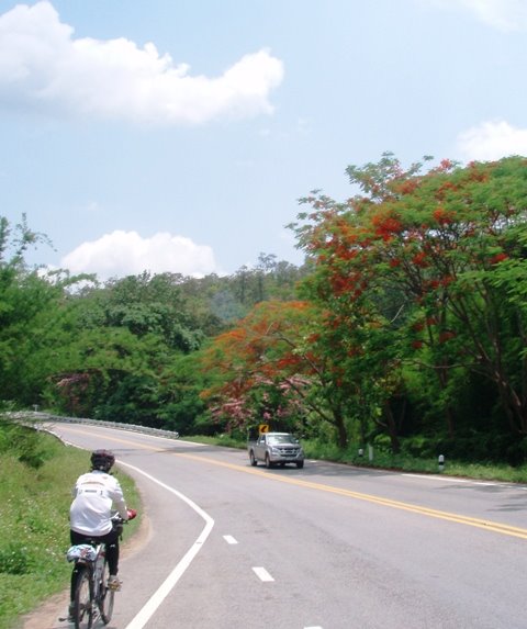 [P5123435.JPG]