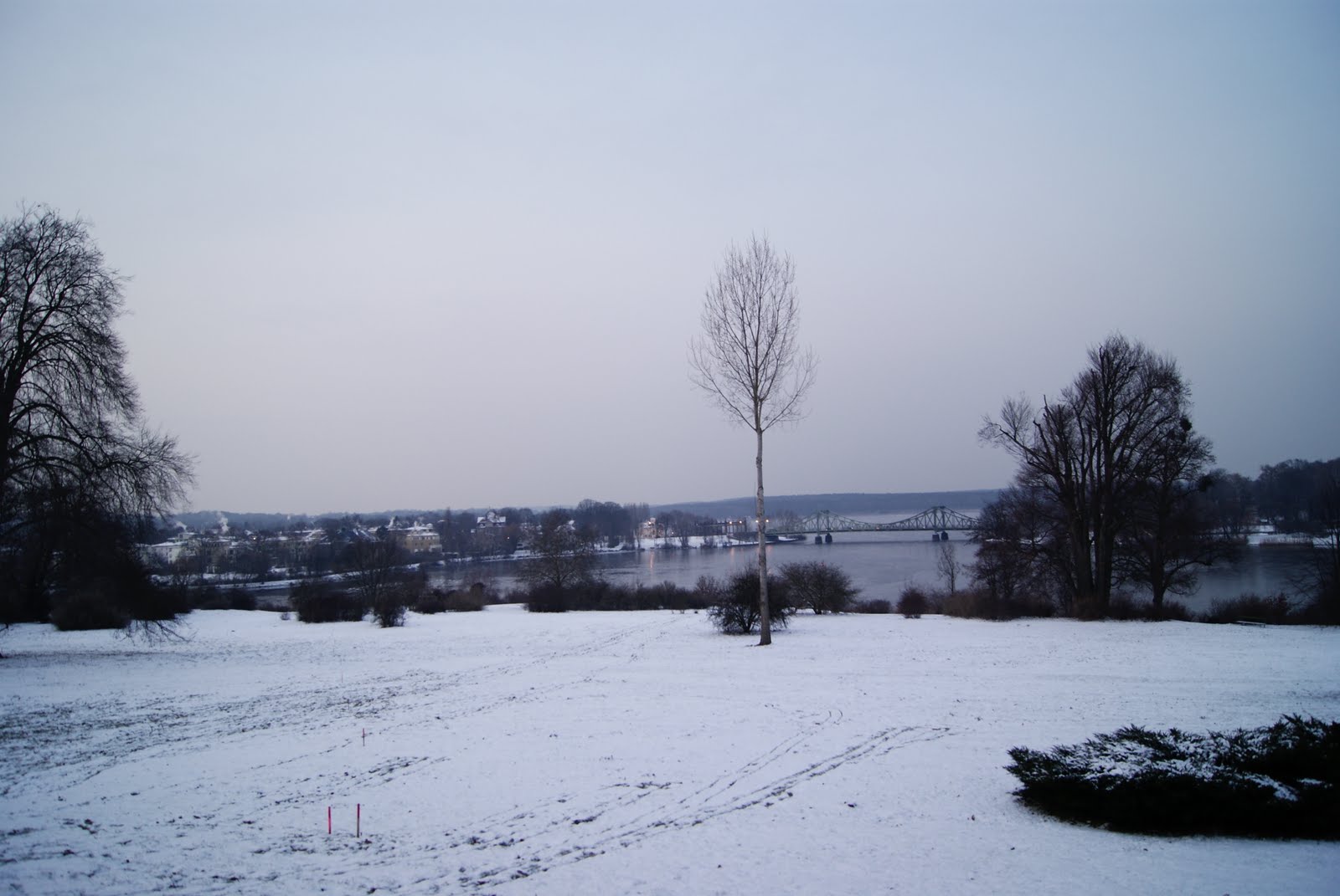 [DSC02675.JPG]