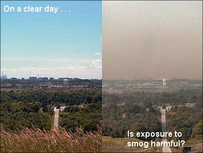 Smog Days