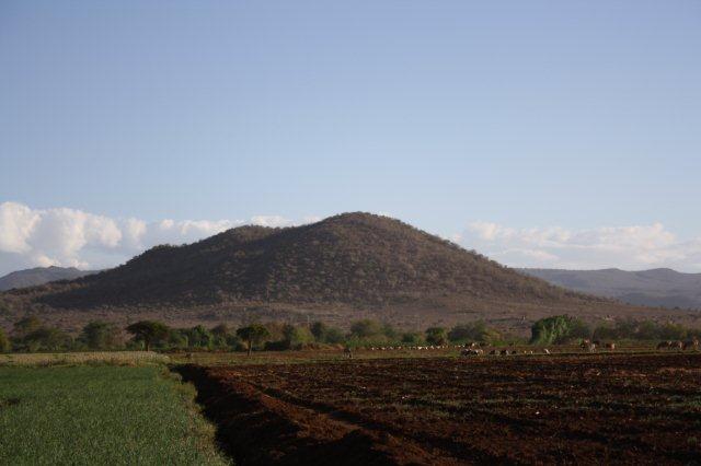 rencontre mariage afrique