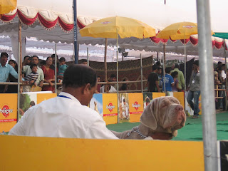 Hycan India Dog Show Hycan India Dog Show