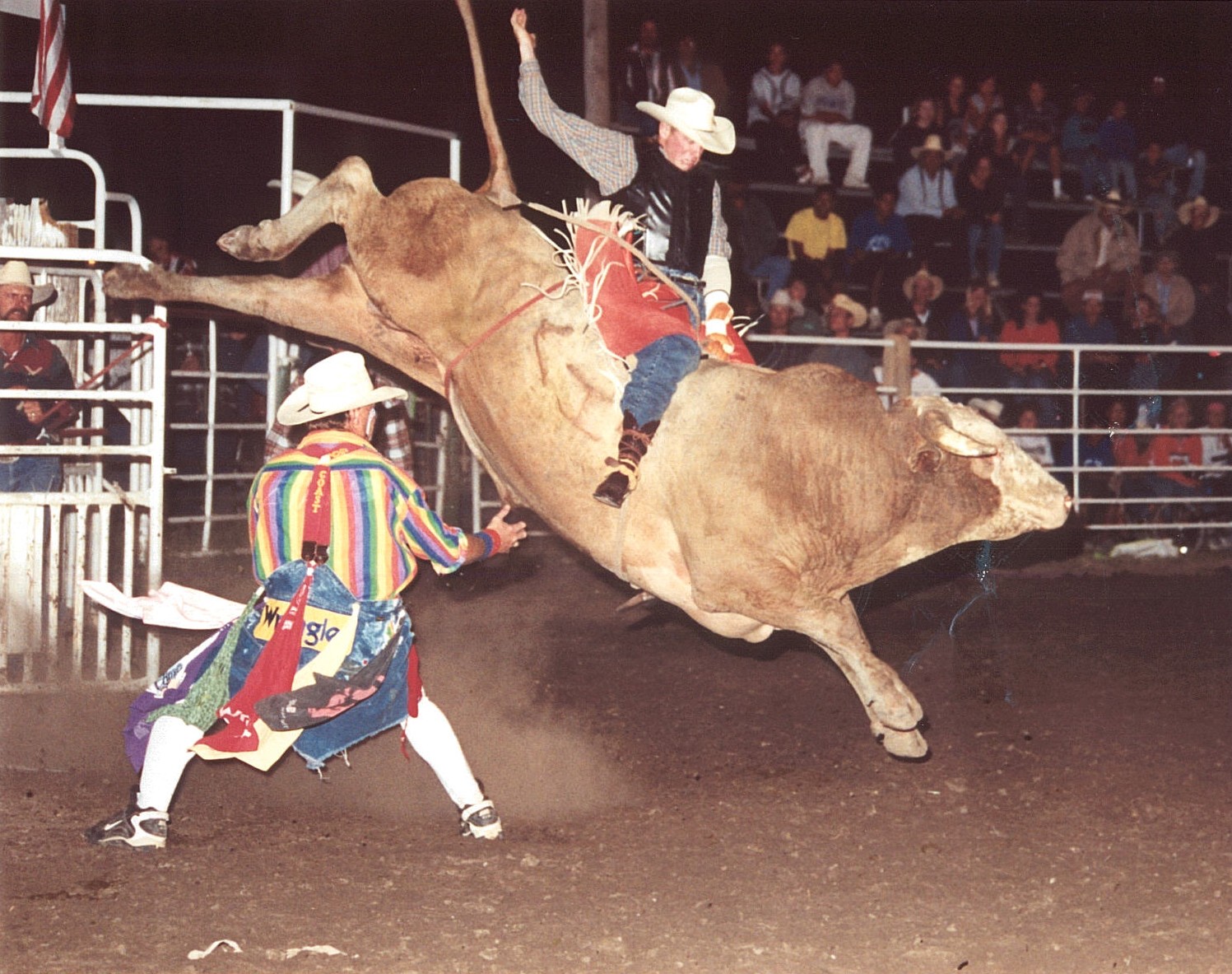 Rodeo Bull Riders