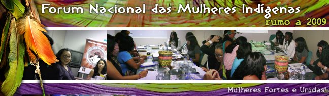 GRUMIN/ FÓRUM DA MULHER INDÍGENA RUMO A 2009