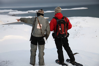 Guards Spotting Bear