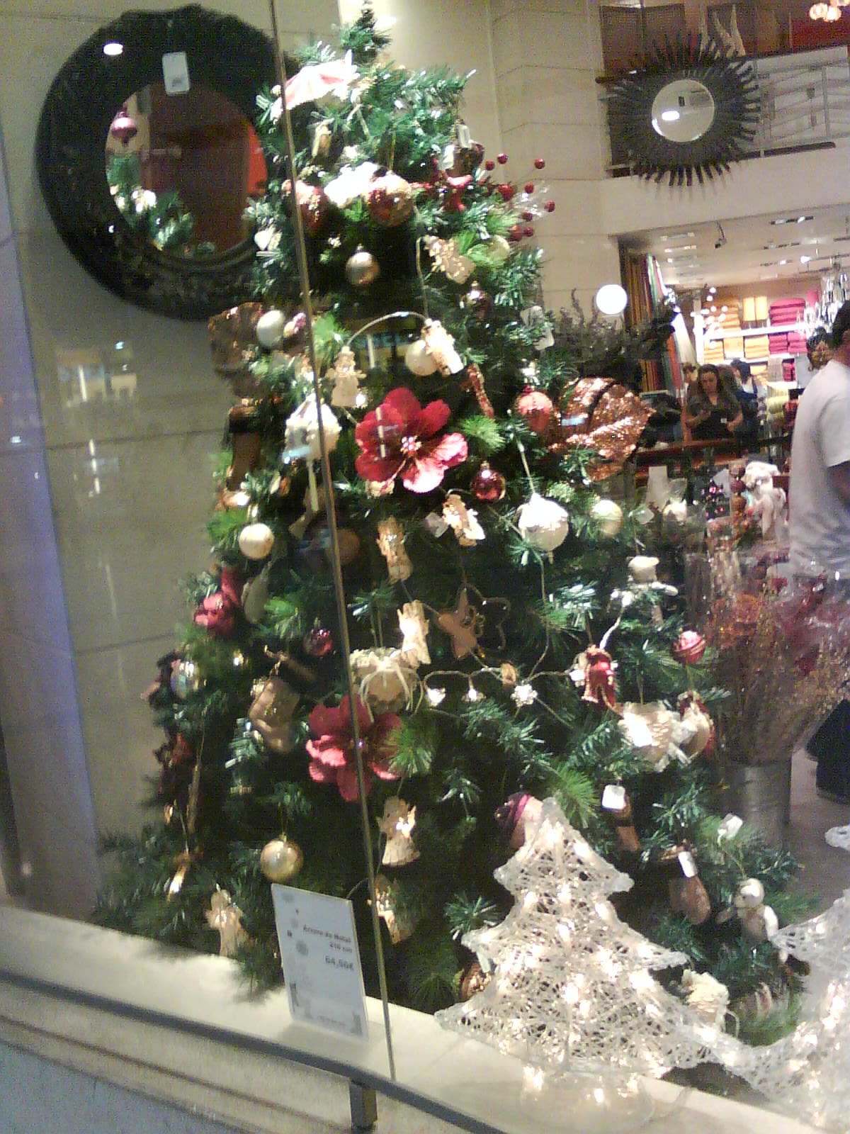 [DSC00075.JPG]