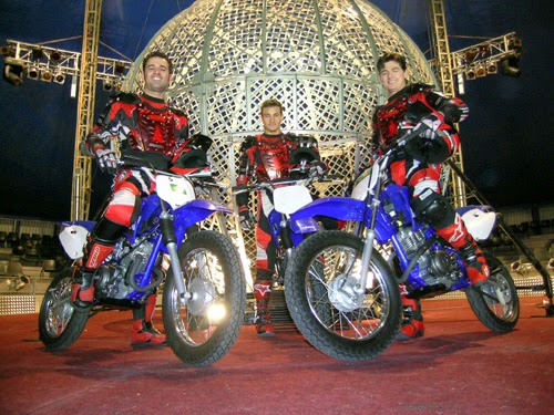 [globebikes.jpg]