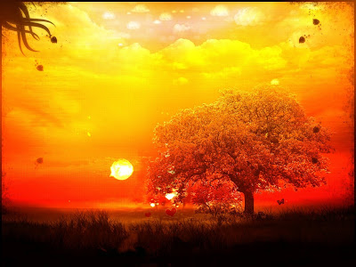 Foto para wallpaper (papel de parede) com por de sol em paisagem de cores saturadas