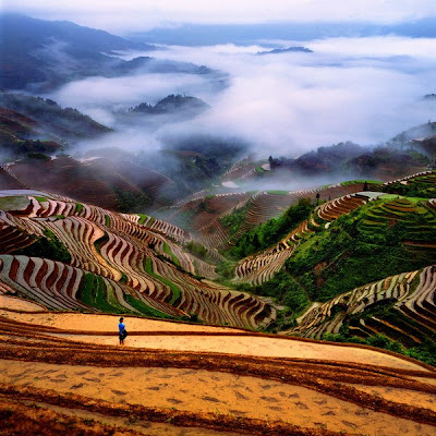 Terraços para plantações na China
