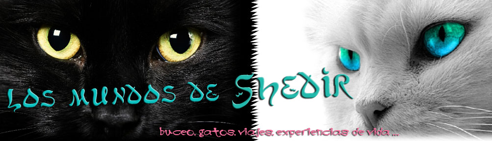 Mundos de Shedir