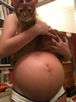 Mamma katt barn