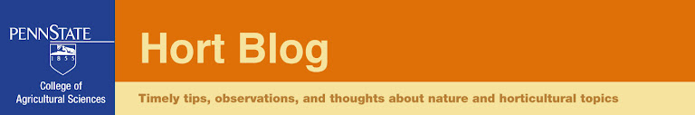Hort Blog