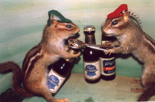[squirrel.jpg]