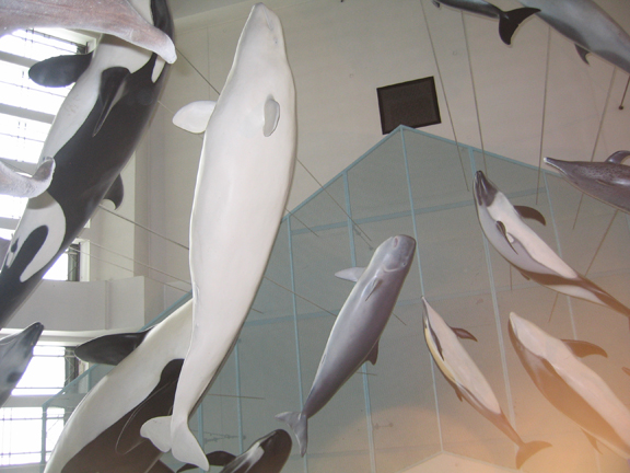 [whales.jpg]