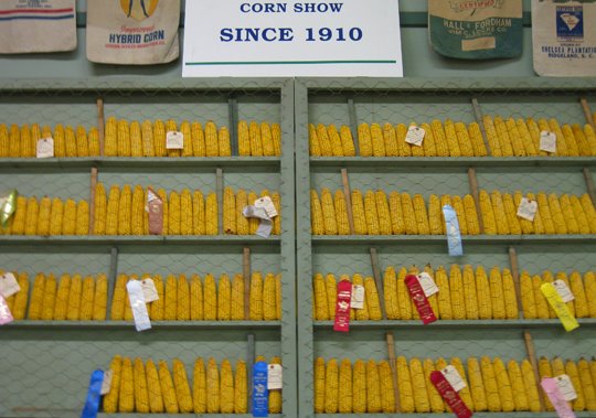 [cornshow.jpg]