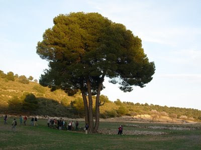 Pozo - Lorente Pozo - Lorente
