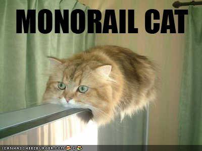 funny-pictures-monorail-cat.jpg