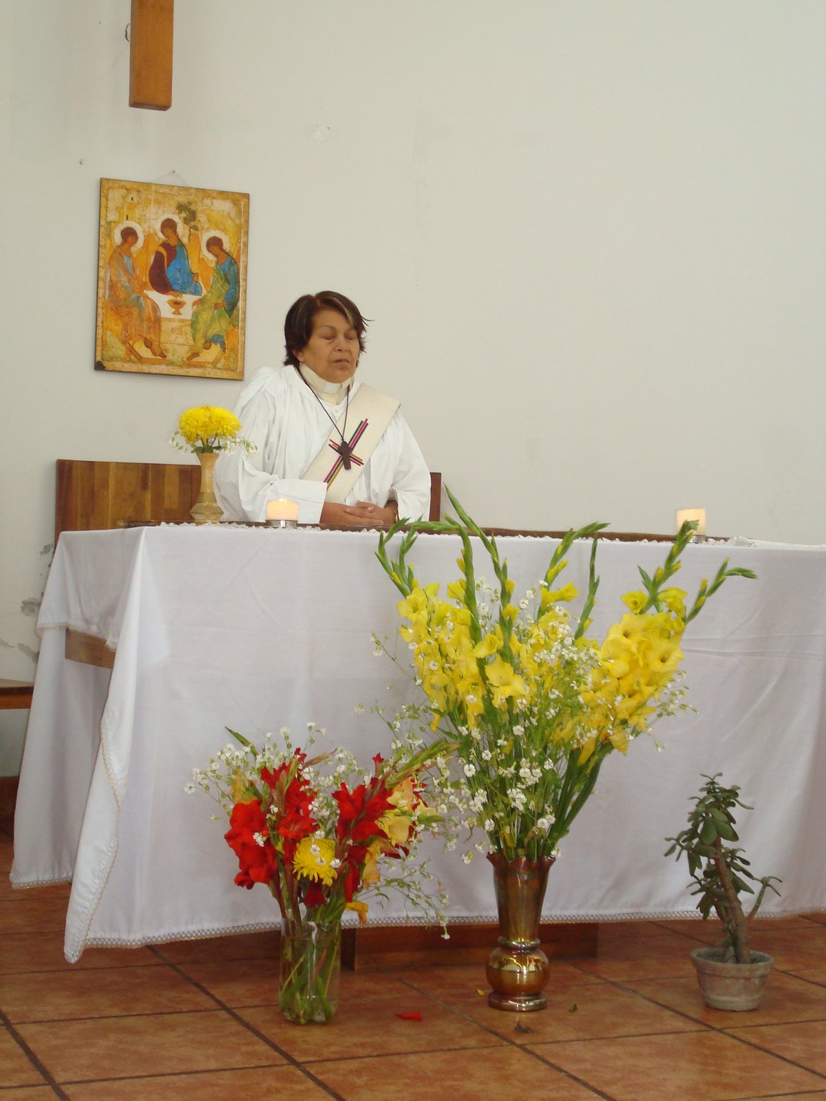 [DSC00266.JPG]