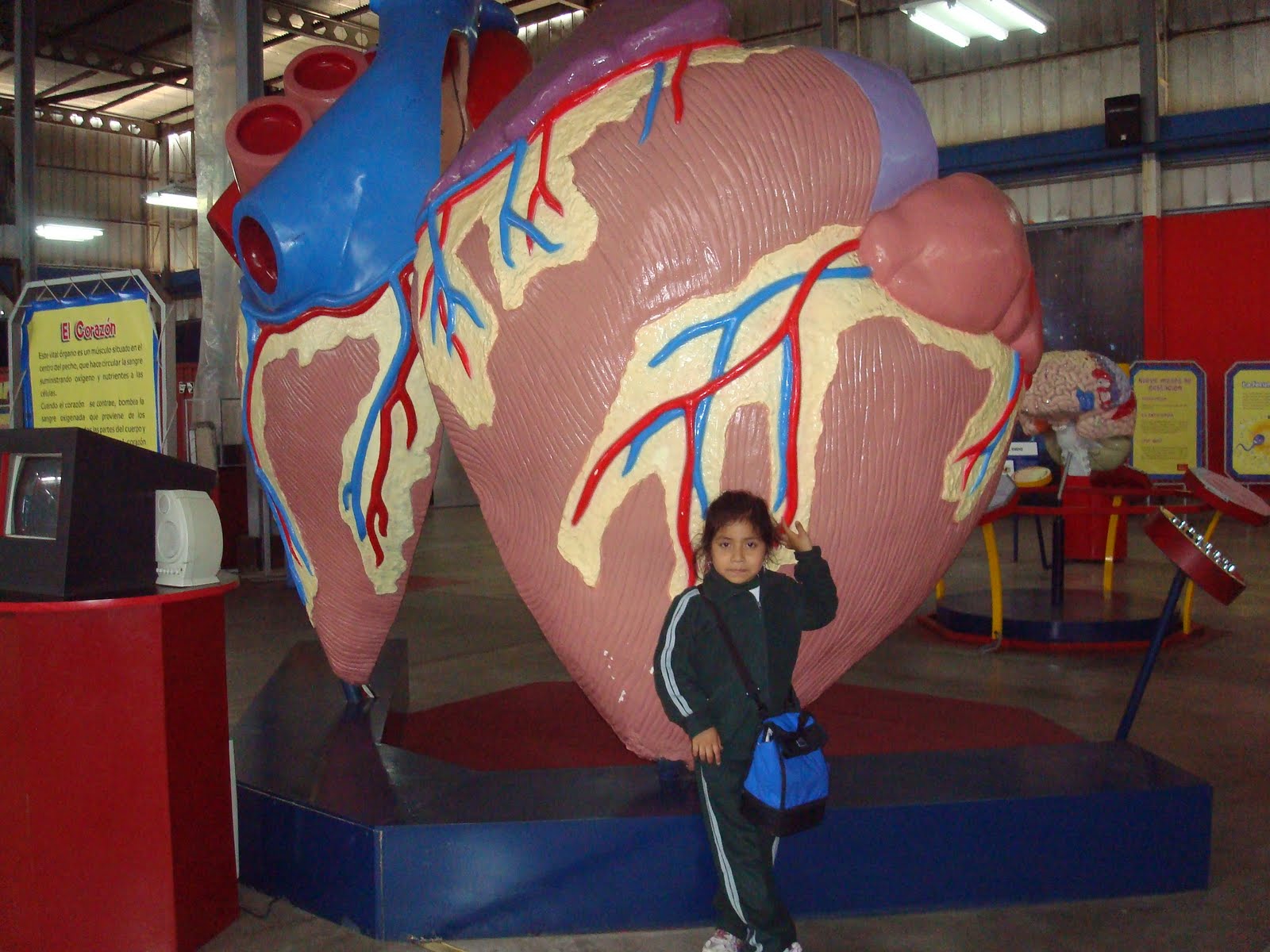 [DSC00161.JPG]