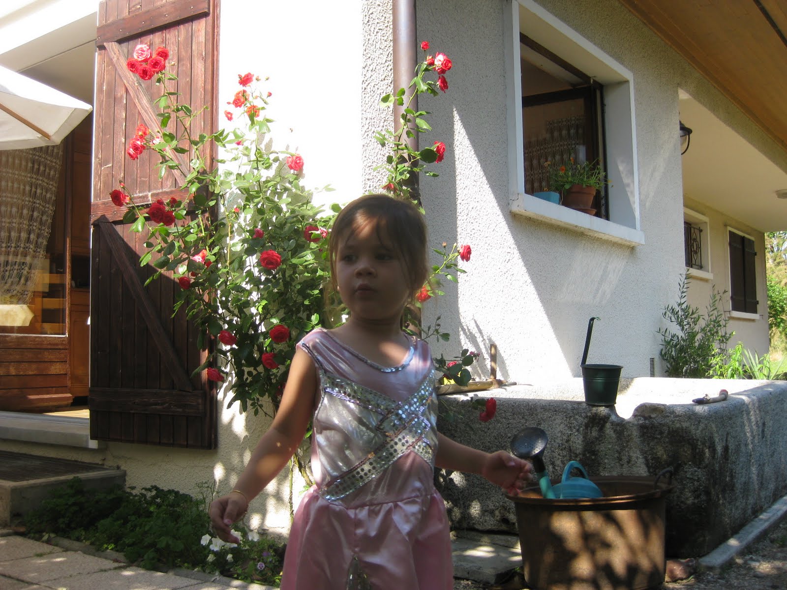 [IMG_1077.JPG]